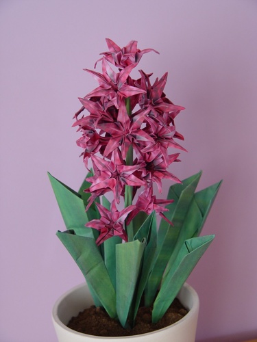 pink origami hyacinth