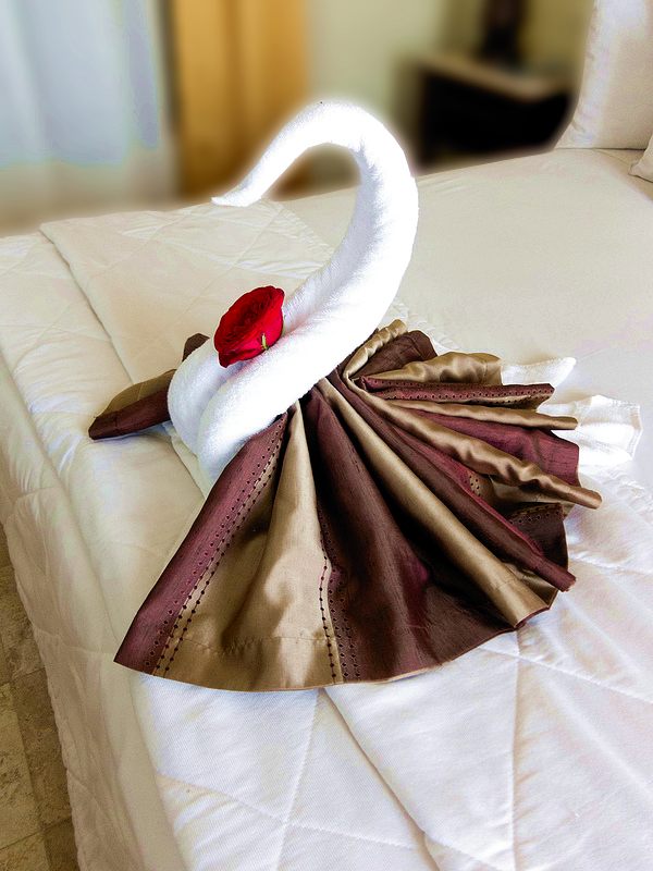zwaan van handdoeken versierd met een rode roos