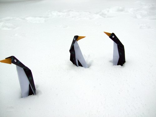 grappige papieren pinguins die buiten in de sneeuw staan