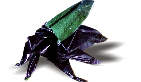 Origami Beetle