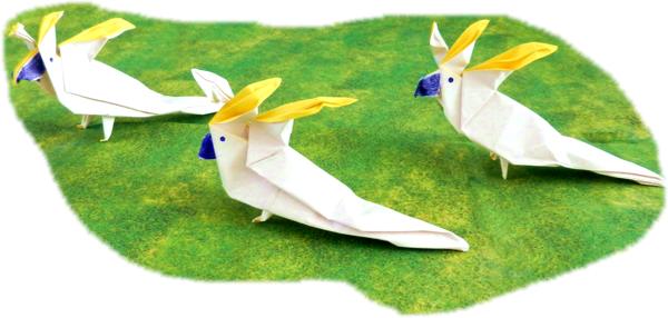 Origami Cockatoos