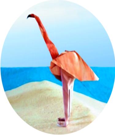 Flamingo clipart