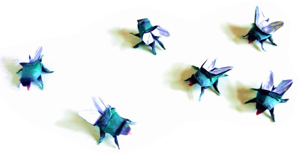 Origami Flies