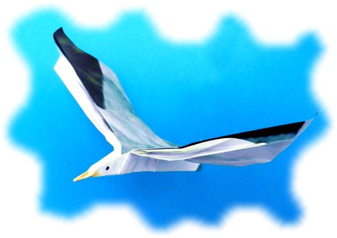 Origami Sea Gull