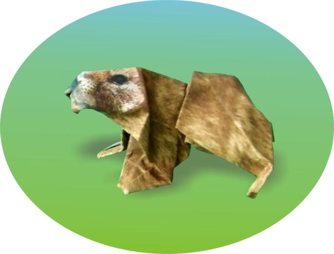 Marmot Marmot