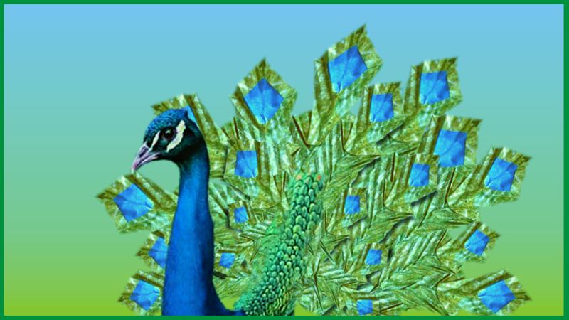 Peacock