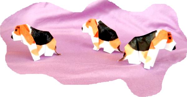 Beagle puppies Beagle puppies