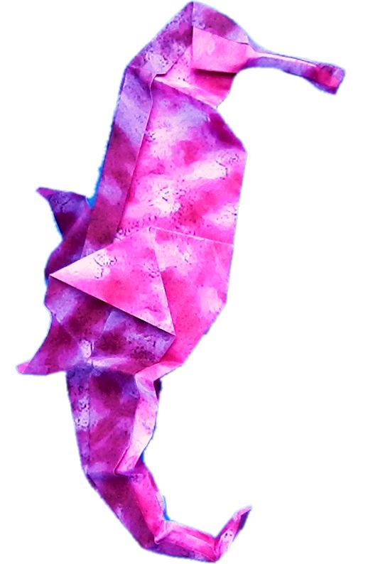 Origami zeepaard Origami zeepaard