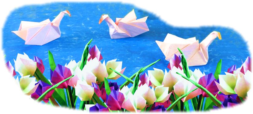 Origami Swans