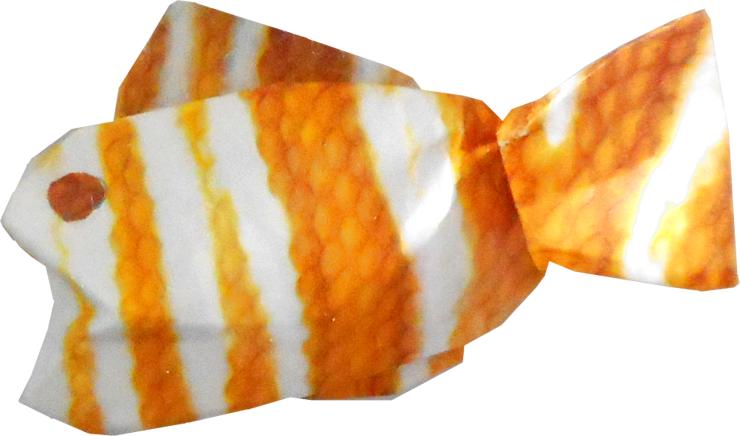 Koraalvis Koraalvis