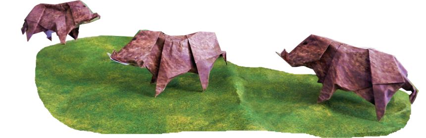 Origami zwijnen Origami zwijnen