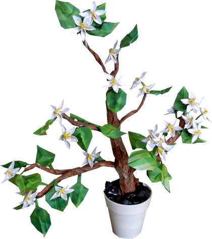 Bonsai Origami plant