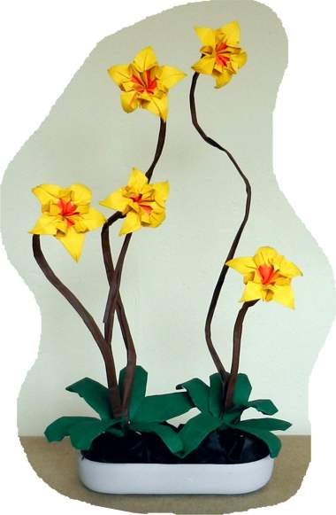 Bonsai Origami Narcis