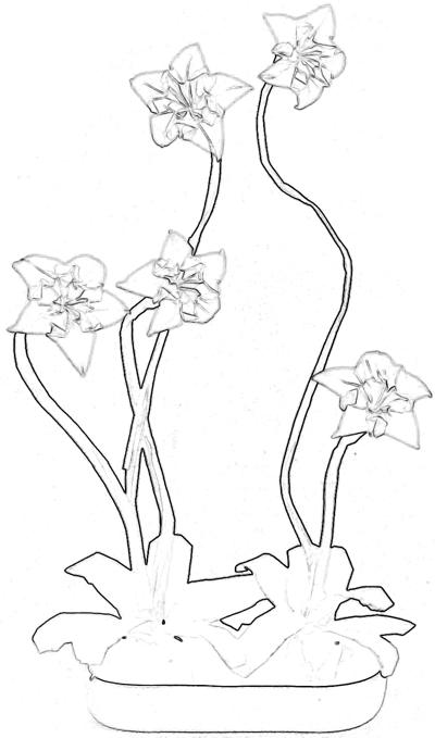 Bonsai Origami Narcis