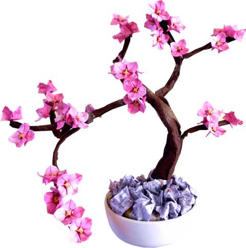 Bonsai Origami Kornoelje