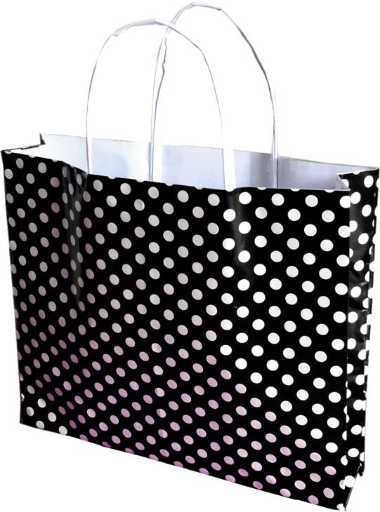 Paper Shopping Bag