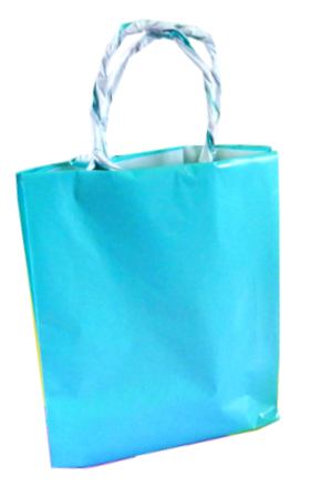 Paper Shopping Bag