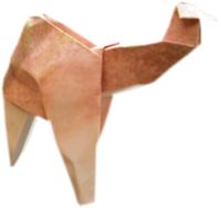origami kameel origami kameel