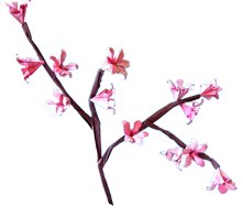 Origami Cherry Blossom