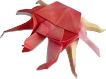 Origami Krab Origami Krab