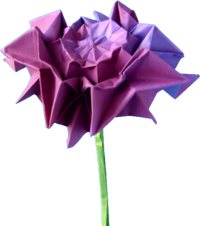 Origami Dahlia