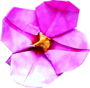 Roze Kornoelje bloem