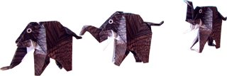 Origami Olifanten Origami Olifanten