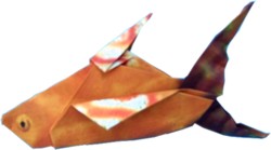 Origami vis Origami vis