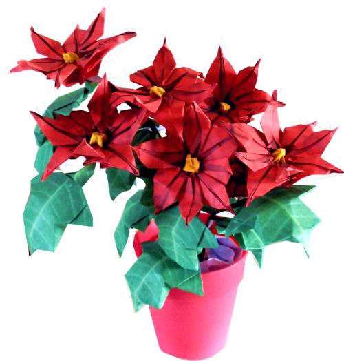 Origami Poinsettia