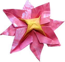 roze bloemetje van papier