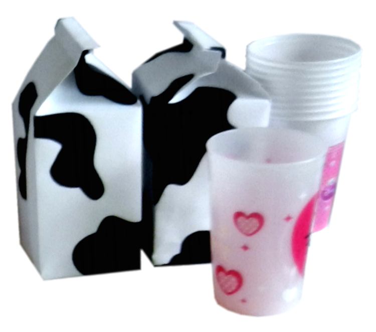 Origami Milk Cartons