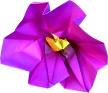 zelfgemaakte stokroos bloem van papier