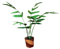 Kamerplant van papier Kamerplant van papier