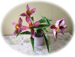 Origami bloemen