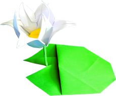 Origami Lotus flower