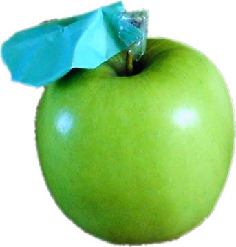 Appel Appel
