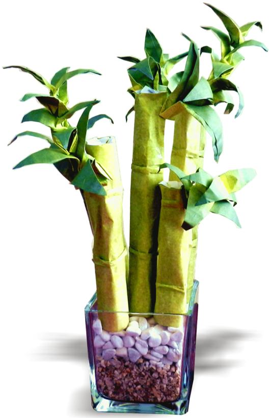 Origami bamboe Origami bamboe