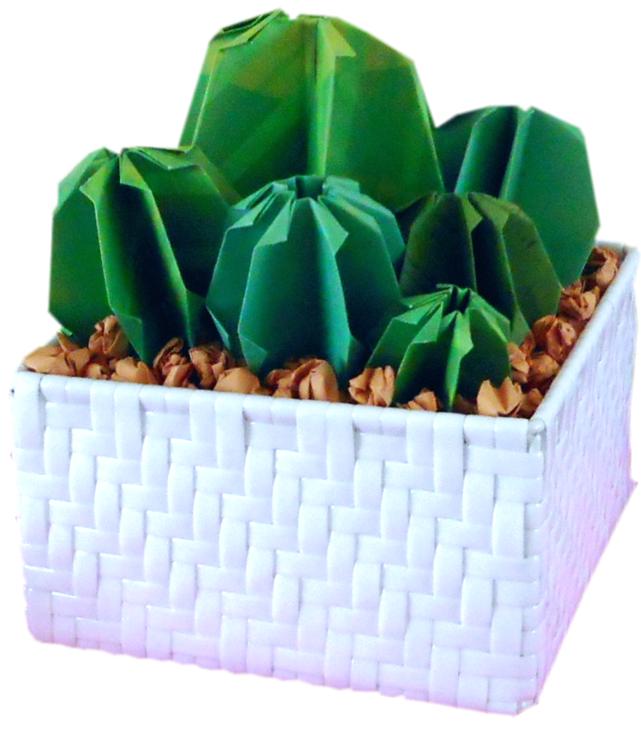 Origami Cactus