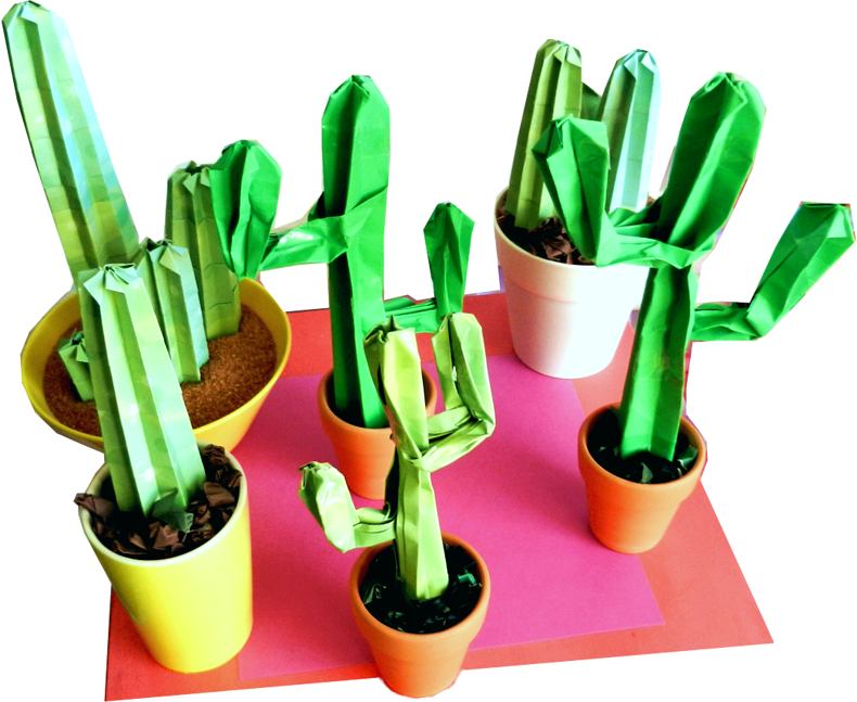 Origami cactussen Origami cactussen
