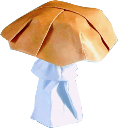 Origami paddestoel Origami paddestoel