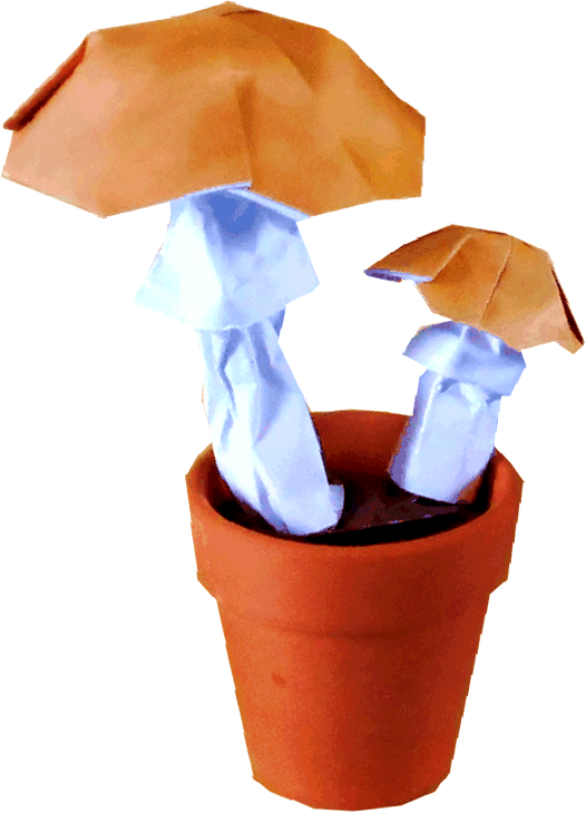 Origami paddestoel Origami paddestoel