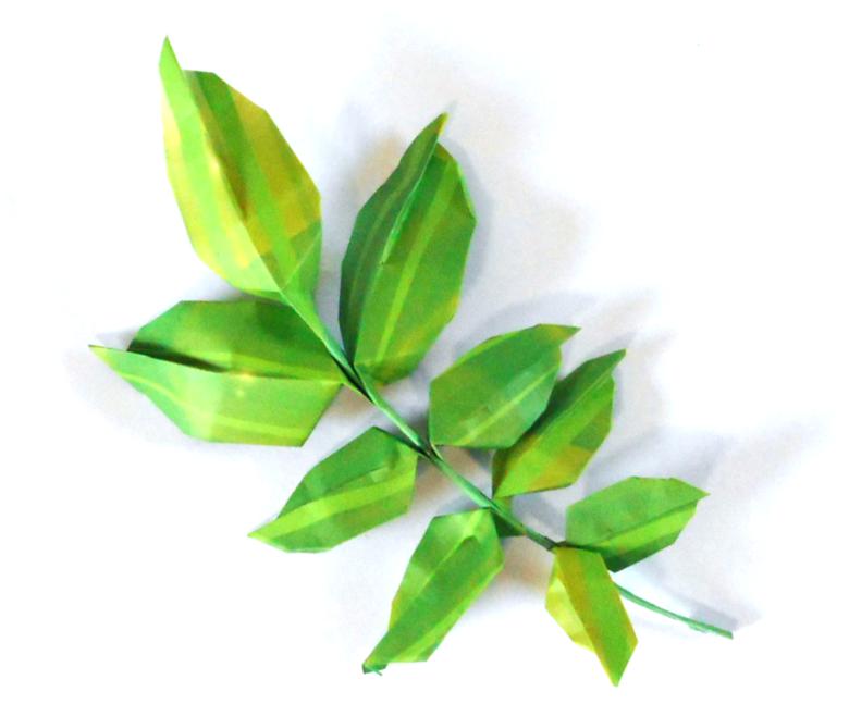 Origami tak met bladeren Origami tak met bladeren