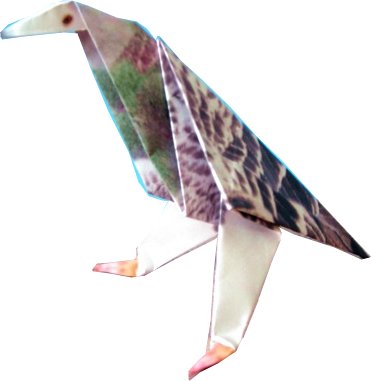 Origami Pigeon