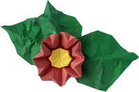 Origami Primrose