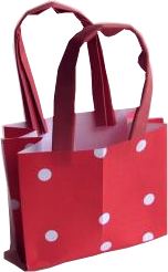 Paper Shopping Bag