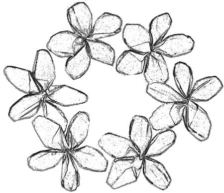 Tekening van een bloemencirkel