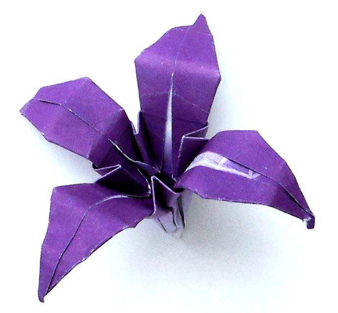 Origami Lelie