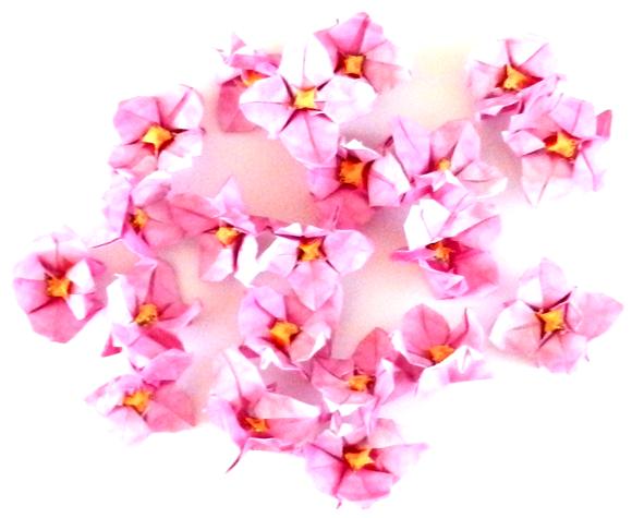 Roze bloemetjes