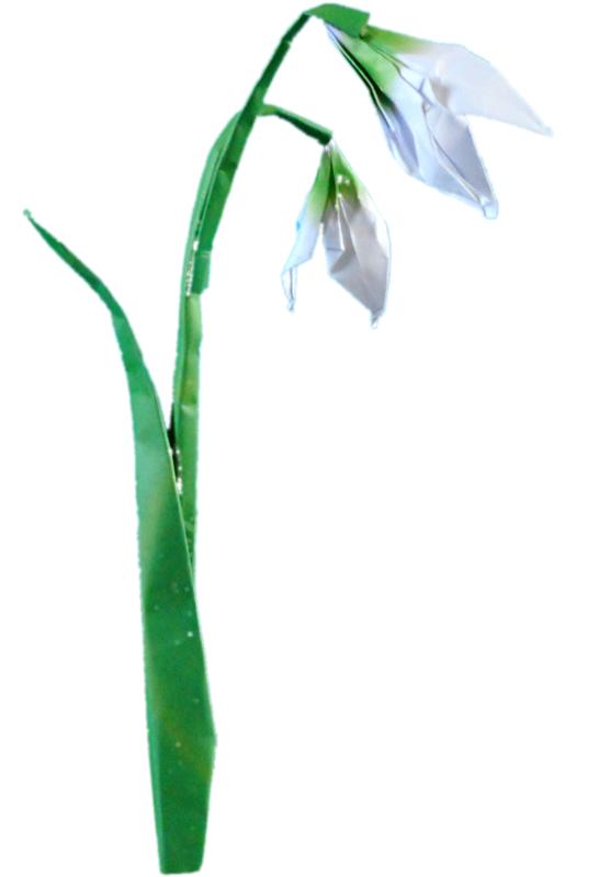 Origami Snowdrops