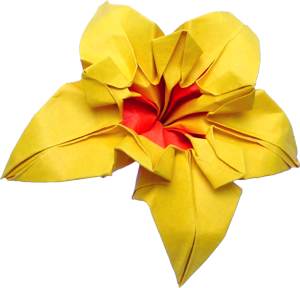 Origami Narcis